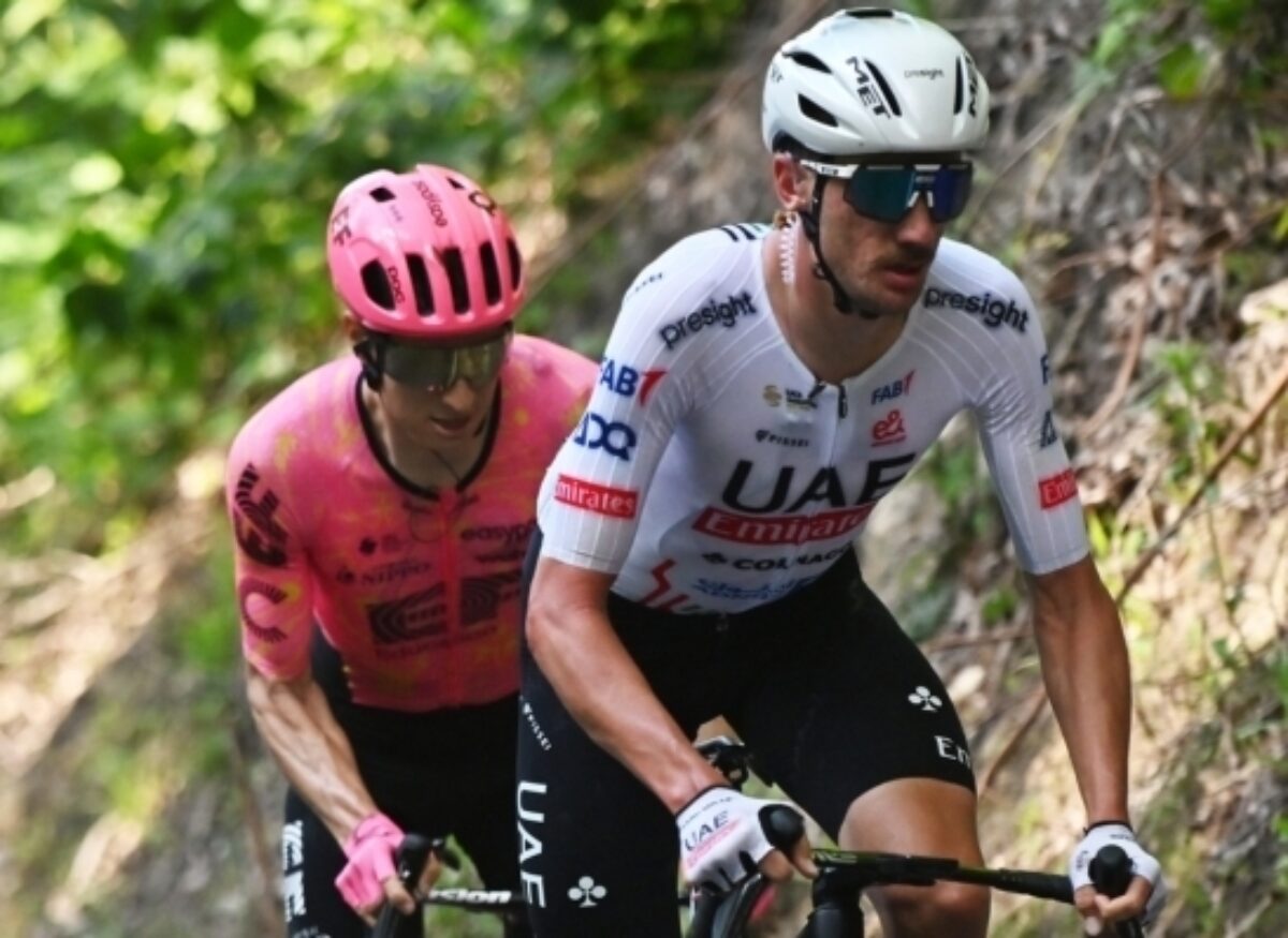 Road bikers out of saddle, climbing up a hill.